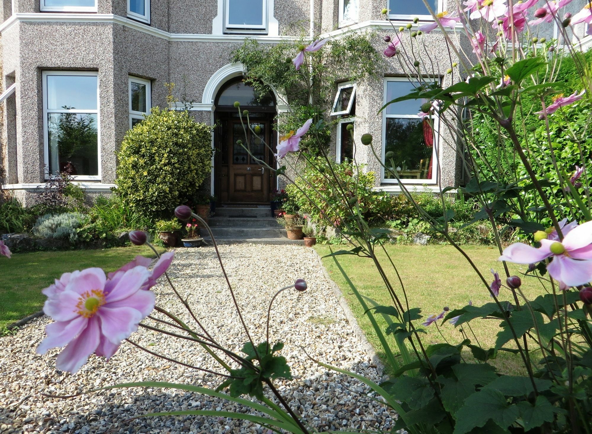 The Rosemont Hotel Yelverton Exterior foto